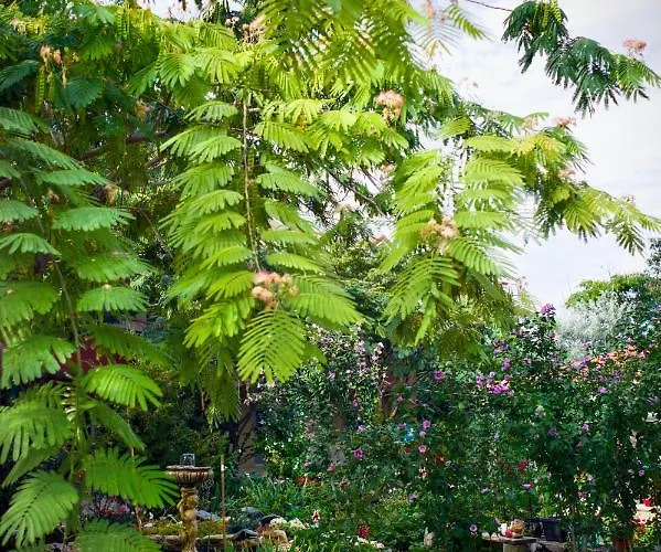 H By Hambar 旧瓦马