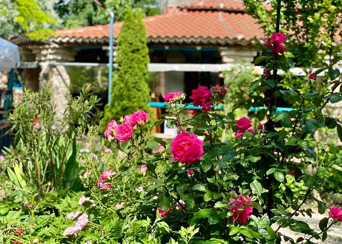 Проживание в семье H By Hambar